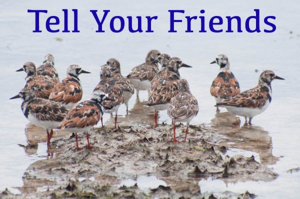 tell-your-friends2